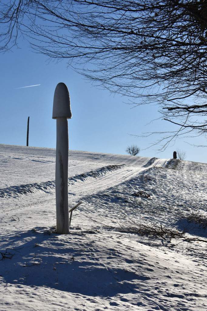 Première balade de l'année sous la neige