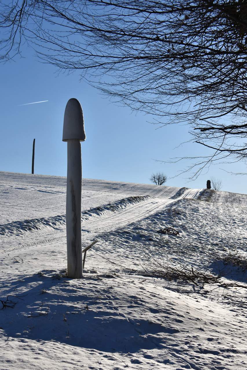 Photo pour l'oeuvre de Première balade de l'année sous la neige