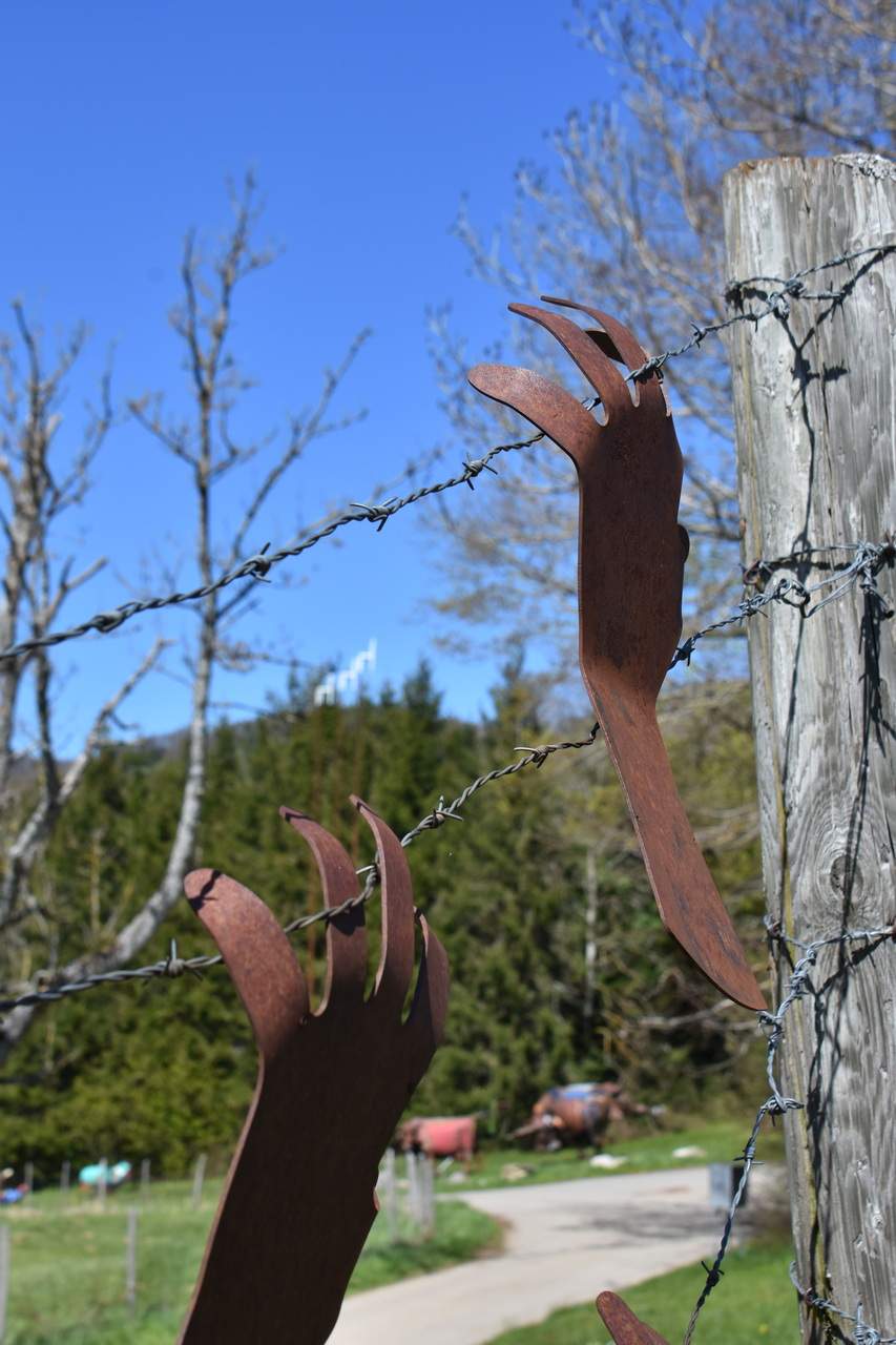 Photo pour l'oeuvre de Fin de la restauration de Fronteras